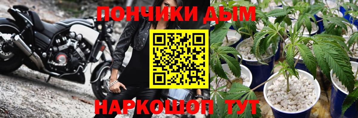 Конопля марихуана Касимов